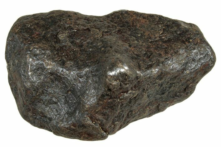 Canyon Diablo Iron Meteorite ( g) - Arizona #303503